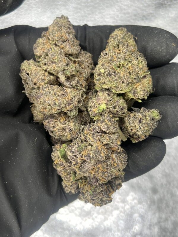 Dragon Fruit Runtz