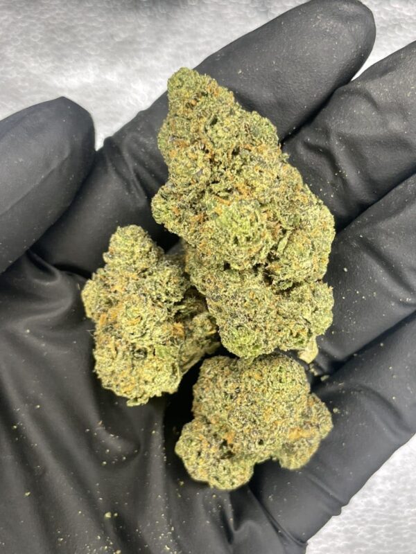 Jelly Gumdrop