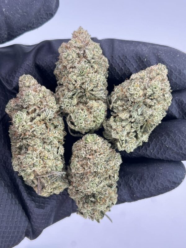 Gorilla Glue #4 - Image 2
