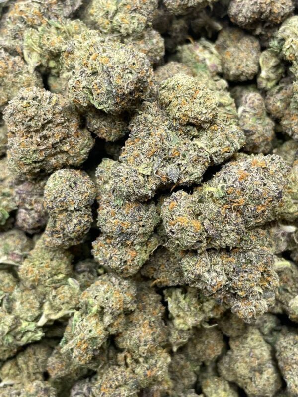 Jet Fuel Runtz