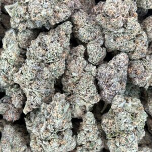 Devils Breath