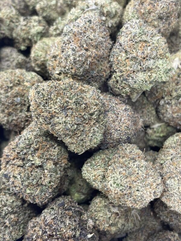 Gumbo Gelato