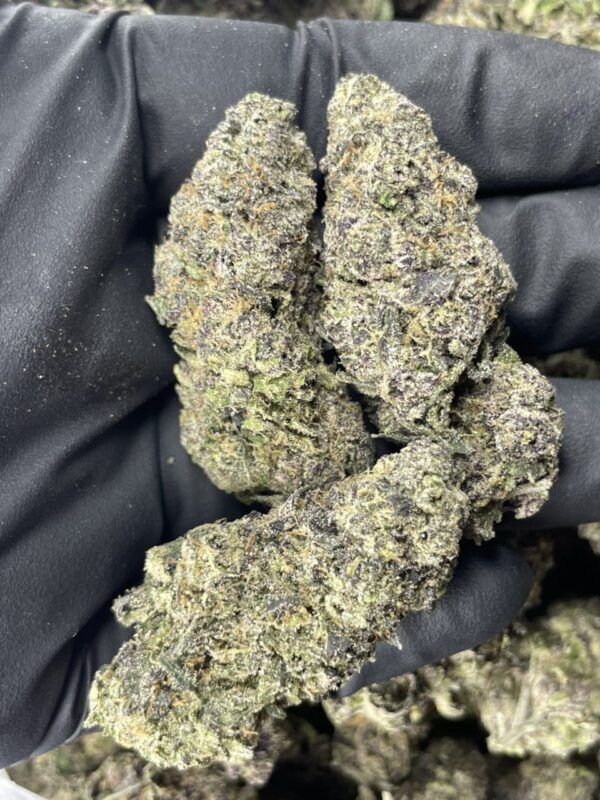 Purple Urkle - Image 2