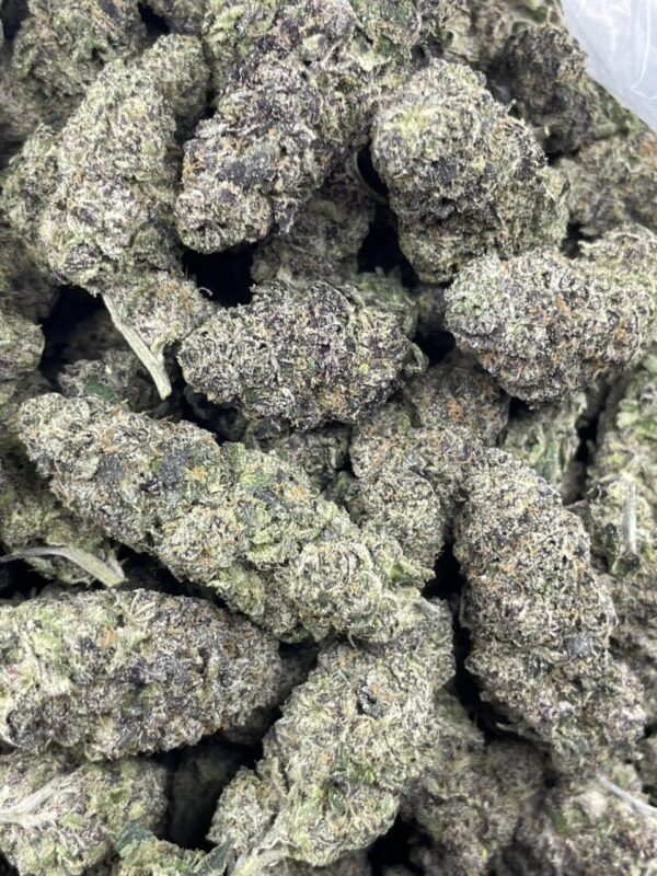Purple Urkle