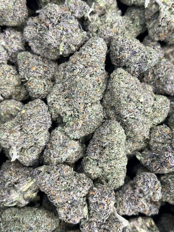 Bubblegum Gelato