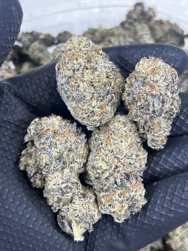 Chocolate Diesel - Image 2