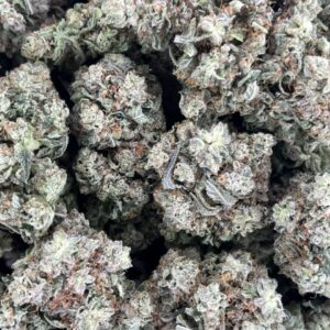 GG4 #2