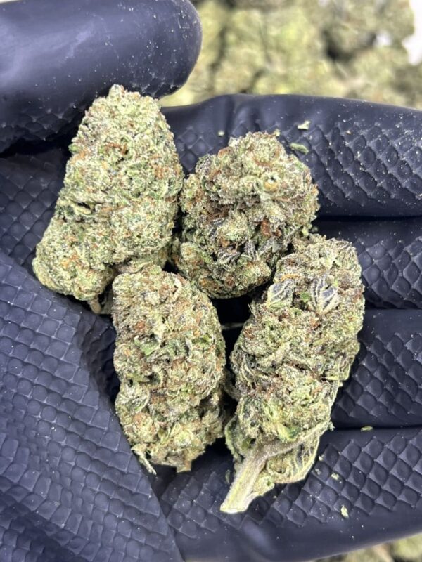 GMO 🍃 🍪 - Image 2