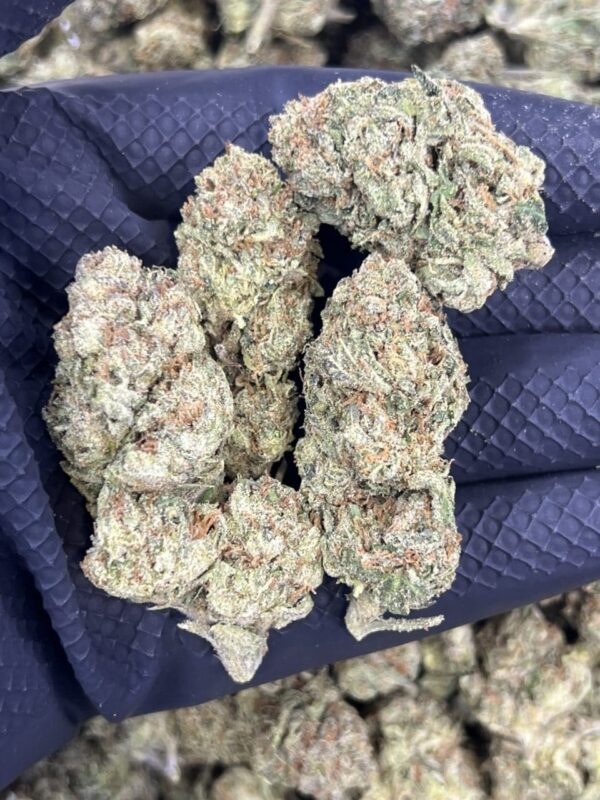 LCG #37