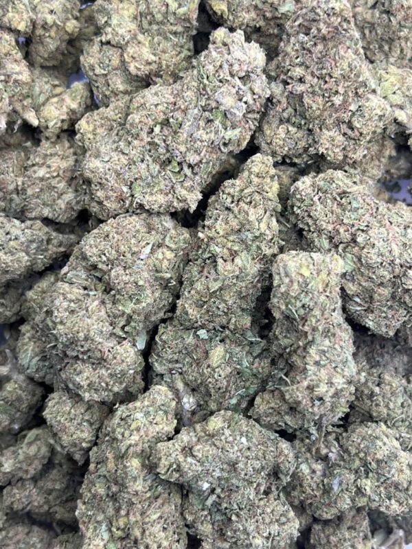 OG 🔥 ⛽️