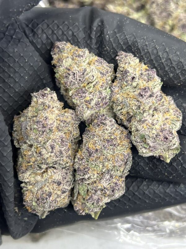 Pink Mimosa - Image 2