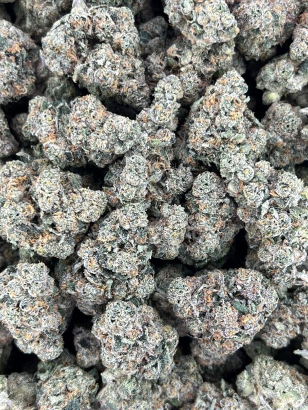 Chester’s Gas 🐆 ⛽️