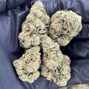 Chester’s Gas 🐆 ⛽️