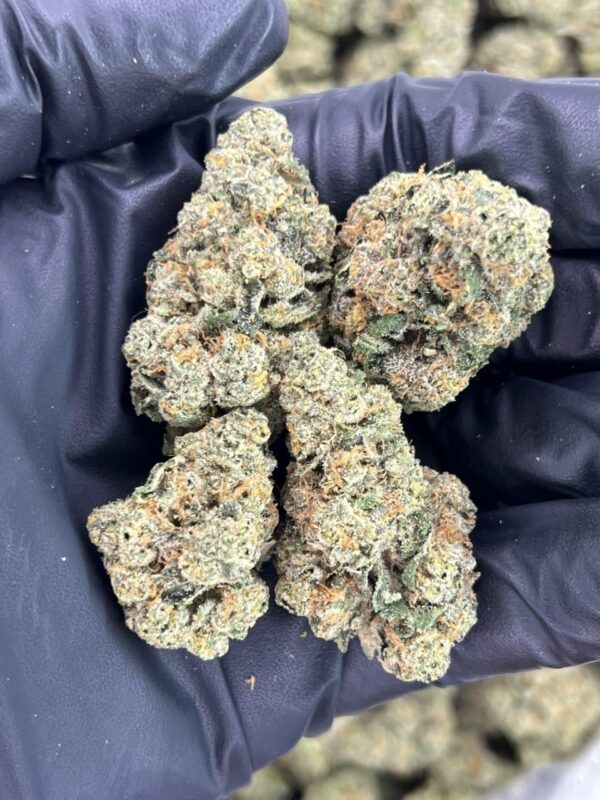 Chester’s Gas 🐆 ⛽️ - Image 2