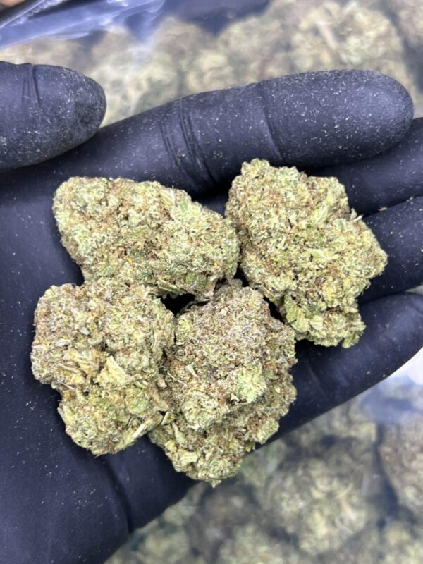 Elmer’s Glue 🐇 🍯 - Image 3