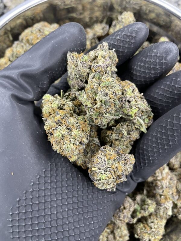 Peanut Butter Cup 🥜 ⛽️