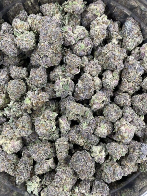 Purple Martian 🍇 👽 - Image 3