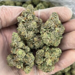 Stay Puff 🍇 💨