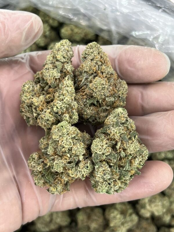 The Soap 🧼 🍬 - Image 2