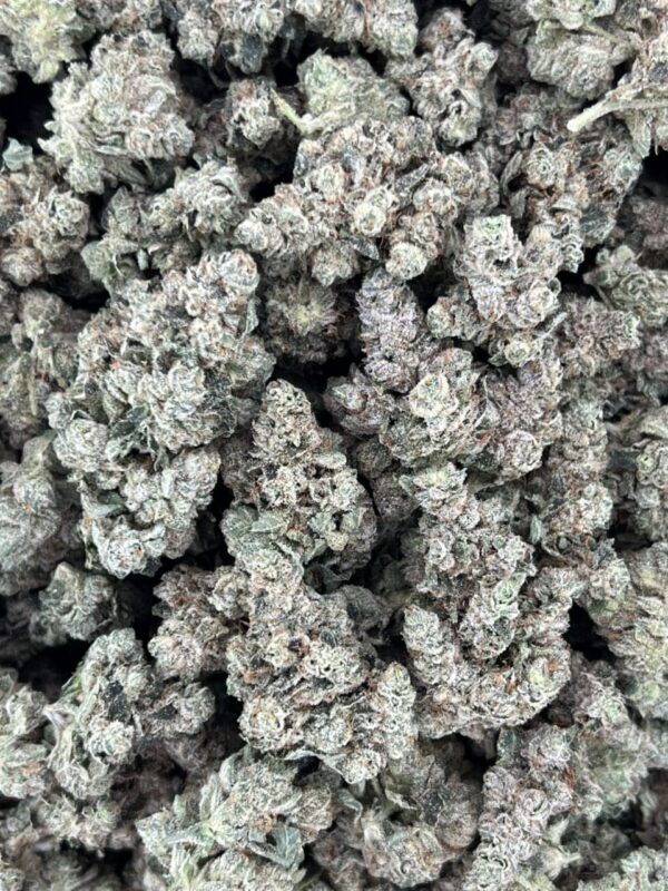 Wafflez 🧇 🍞