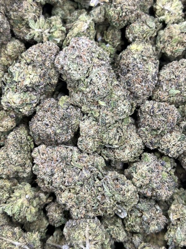 White Truffles 🦨 ⛽️