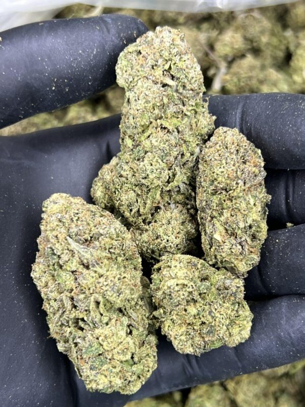 White Truffles 🦨 ⛽️ - Image 2
