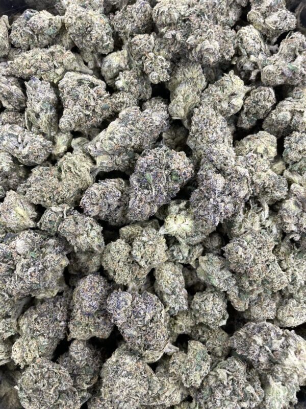 Yum Yum Runtz 😋 ⛽️