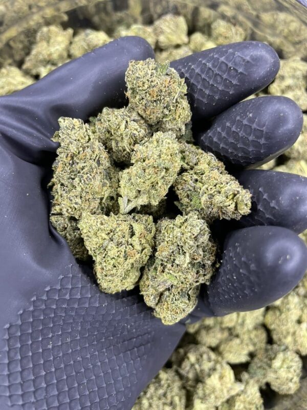Yum Yum Runtz 😋 ⛽️ - Image 2