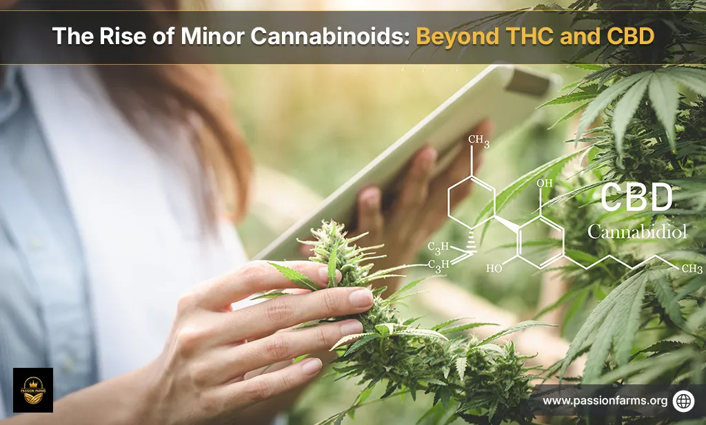 Rise of Minor Cannabinoids: Beyond THC and CBD