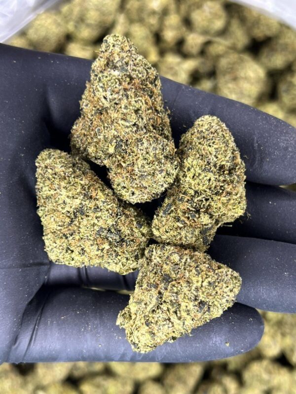 Afghan Gelati 🇦🇫 🍧 - Image 3