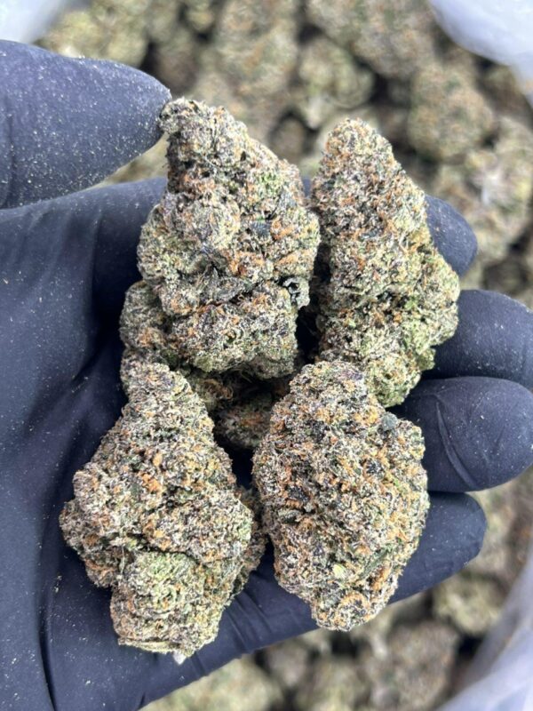 Bubbleato 45 🍬 ⛽️ - Image 3