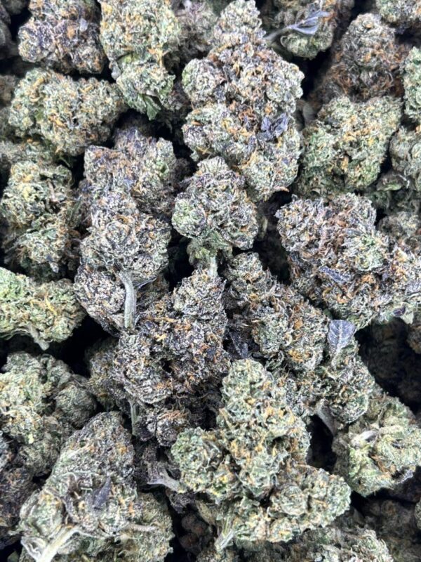 Candy Gelato 🍧 🍭