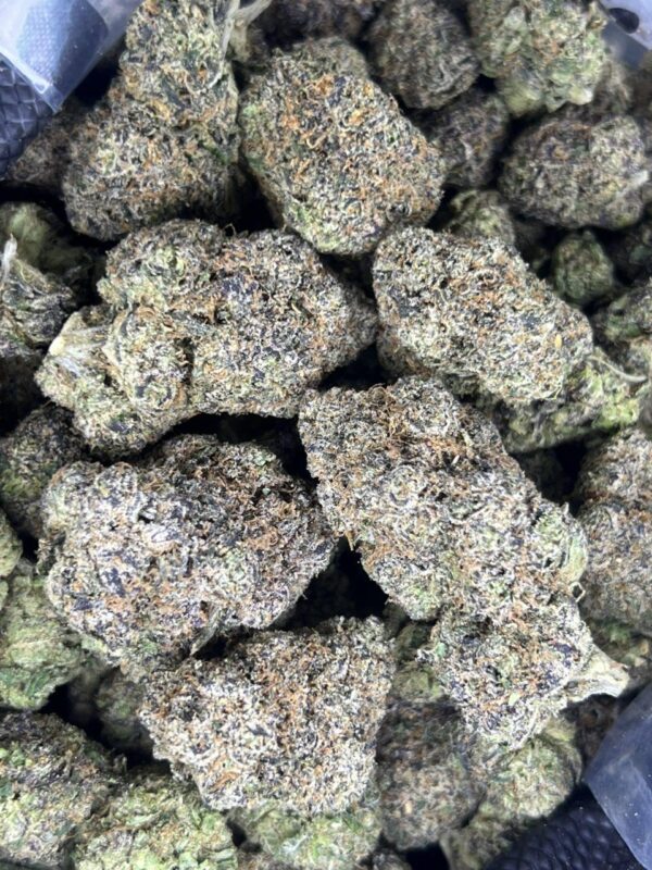 Gobstoppers 🍬 ⛽️