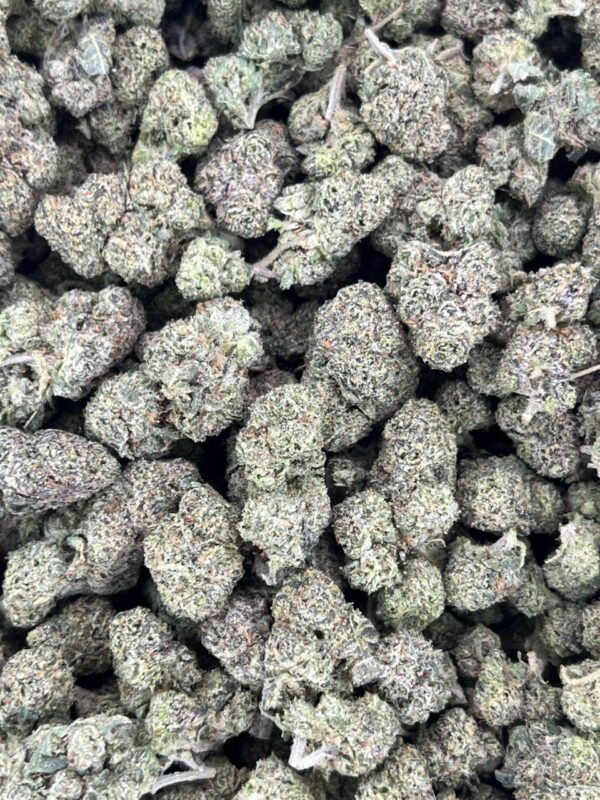 Gorilla Grease 🦍 🍯