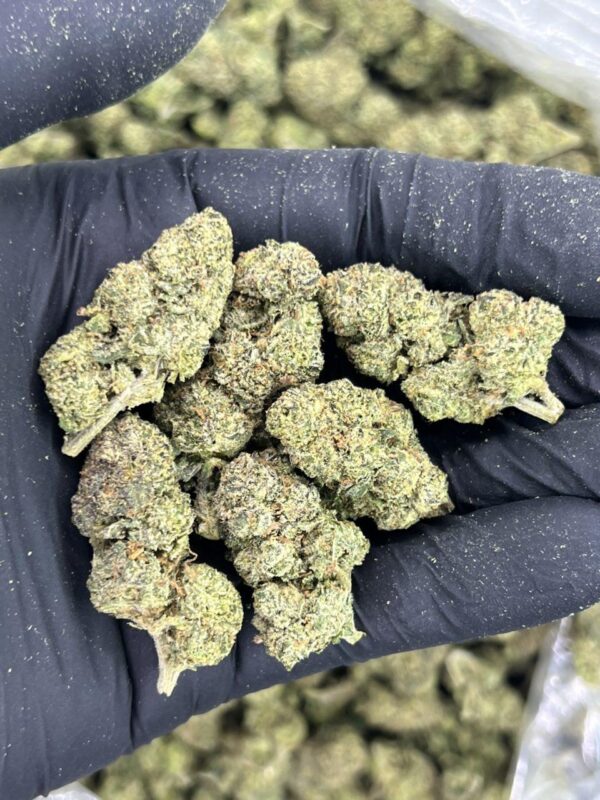 Gorilla Grease 🦍 🍯 - Image 3