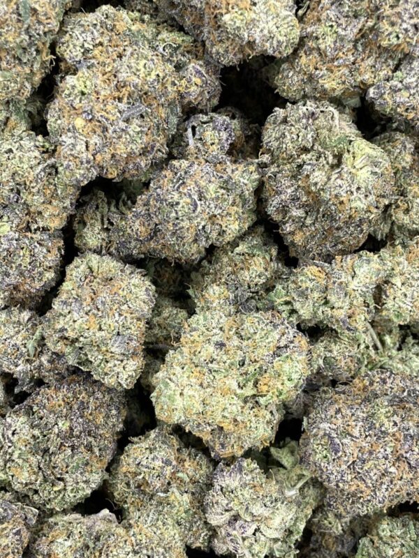 Moon Bow 🌙 ⛽️