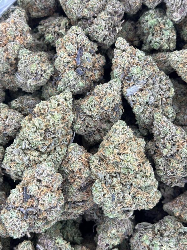 Rainbow Bomb 🌈 💣