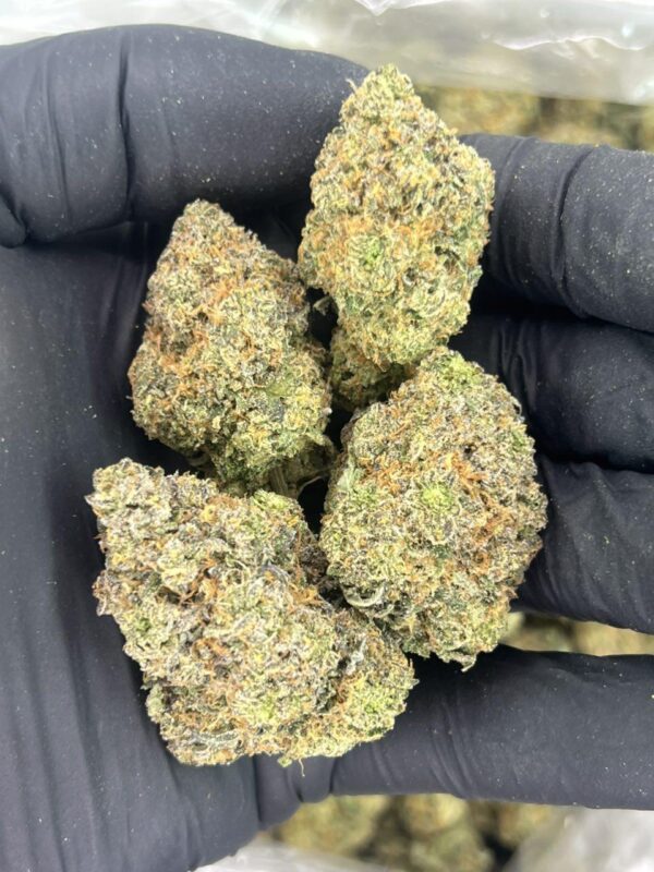 Runtz Berries ⛽️ 🍇 - Image 3
