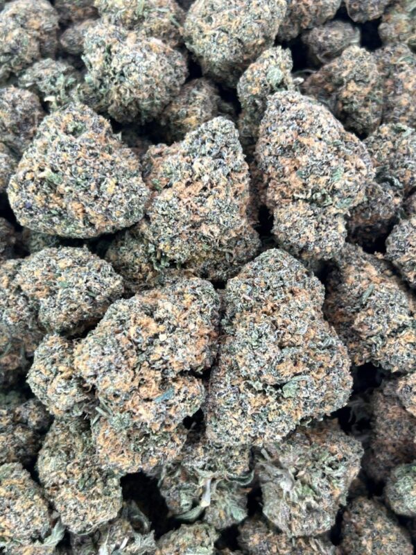 Zkittles Lava Runtz 🍬 🌋