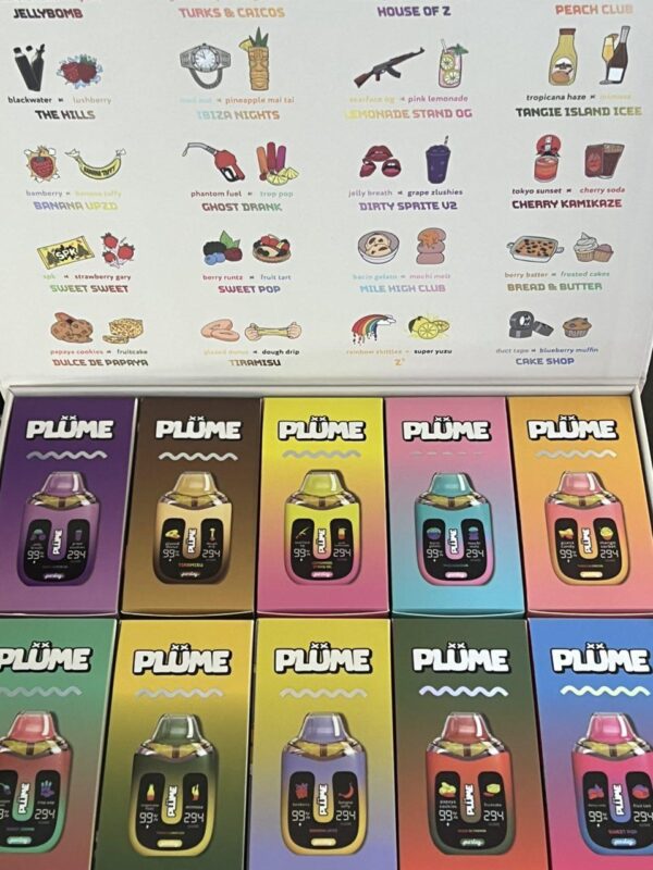 2G DUAL CHAMBER PLUME DISPOS (AUTHENTIC) - Image 4