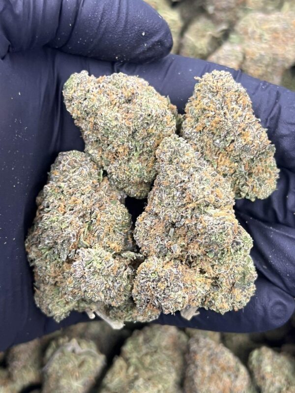 Blue Starburst 🍬 💫 - Image 2