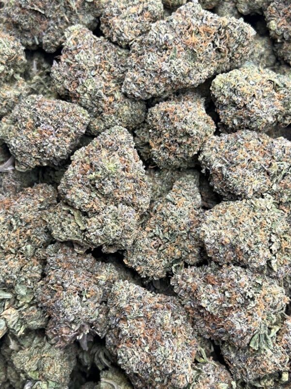 Cherry Blizzard 🍒 🍋
