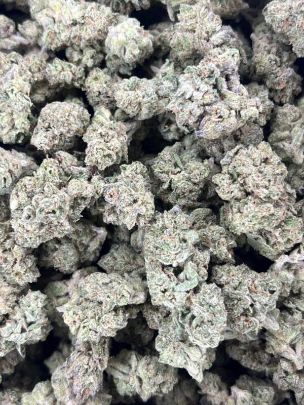 Cherry Runtz 🍒 ⛽️
