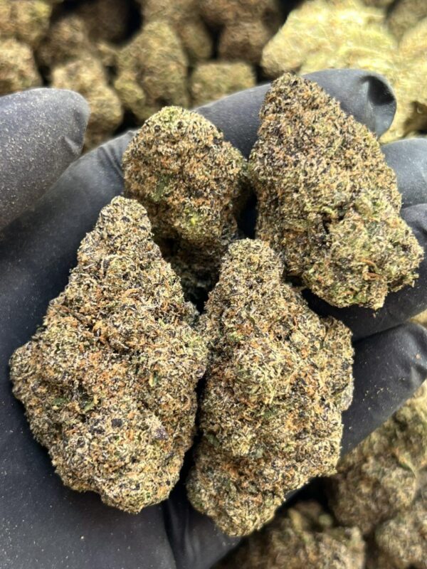 Lucky Charms 🍀 🍬 - Image 3