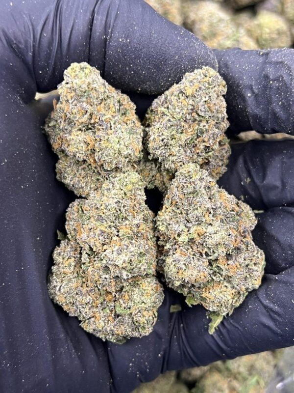Purple Licks 🍇 ⛽️ - Image 3