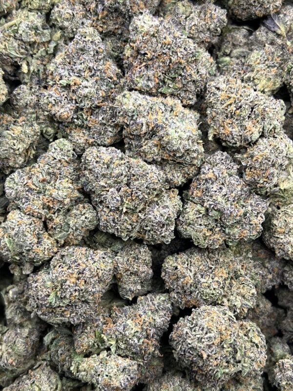 Purple Licks 🍇 ⛽️