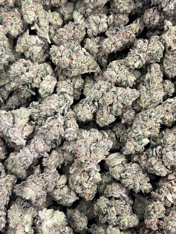 Sherbet Runtz 🍒 ⛽️