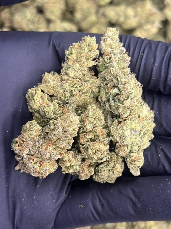 Sherbet Runtz 🍒 ⛽️ - Image 3