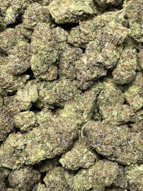Apple Fritter