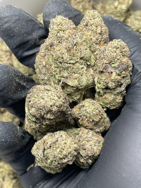 Apple Fritter - Image 2